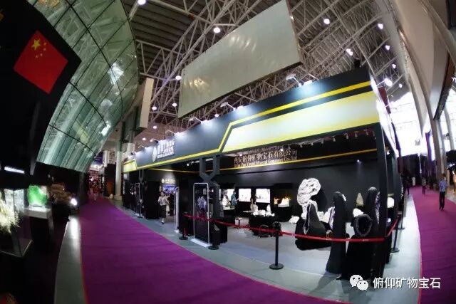 FooYoung at the Chenzhou Gem &amp; Mineral Show: Rare Minerals You've Never Seen &amp; Record-Breaking Crowds!